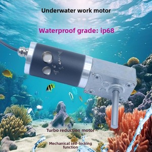 <span class=keywords><strong>Moteur</strong></span> DC à engrenages à vis sans fin étanche IP68 12V 24V 80W autobloquant à couple élevé 5840-42, <span class=keywords><strong>moteur</strong></span> submersible pour robotique sous-marine - Product Image 1