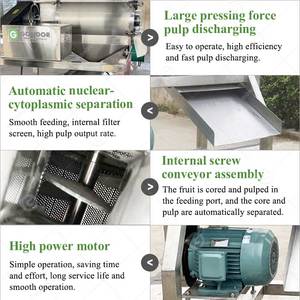 Máquina Despulpadora Industrial de Uvas para Frutas 500kg, Pulpeadora de Litchi - Product Image 4