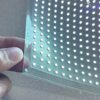 Yapışkanlı Süper İnce Yüksek Parlaklıklı LED Ekran PCB Kartı Dijital Poster Esnek Şeffaf Film İç Mekan Perakende Mağazası Alışveriş