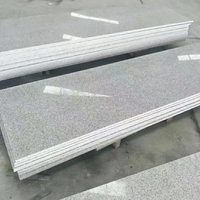 Bordures et pavés en granit gris flamé moderne pour allées extérieures et aménagements paysagers