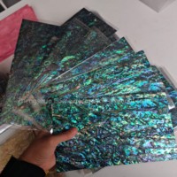 Feuille de coquille d'ormeau naturel de Nouvelle-Zélande conception de bricolage personnalisée pour la décoration de la maison ou les lunettes de soleil Style d'amour unique en nacre