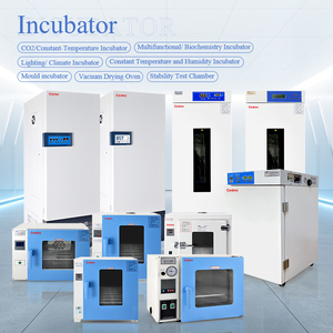 Incubateur <span class=keywords><strong>de</strong></span> laboratoire à température constante avec agitateur à oscillation thermostatique, Cedrec - Product Image 6