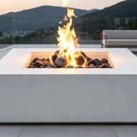 Estufa/Mesa de Exterior para Calentar, Ecológica y Duradera, de Acero Inoxidable 304, con Núcleo Personalizado para Leña/Gas/Alcohol/Atomización