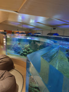 Super Transparant Milieuvriendelijk Plastic Aquaria Oceaanrestaurant Bouw Thema Aquarium Ontwerp - Product Image 5
