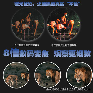 Night Vision Goggles 25mm Objective 600m Range Reticle Digital Infrared Outdoor Hunting - Product Image 3