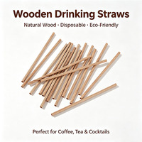 Pajitas de Bambú Biodegradables al por Mayor, Pajitas de Madera Desechables Ecológicas y Compostables para Cafeterías