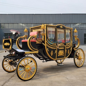 Charrette royale électrique de luxe noire pour mariage, chariot de transport extérieur spécial, personnalisable en usine - Product Image 5