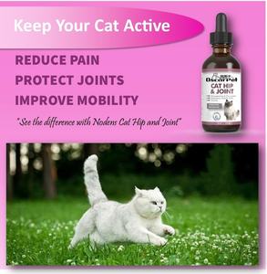 OEM/ODM Oscar cairan hewan peliharaan untuk kucing Hip & suplemen sendi Glucosamine & Chondroitin pereda nyeri & peningkatan mobilitas - Product Image 2