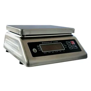 Weigh Scale Manufacturer JZC-A110S IP68 Level Stainless Steel 30kg Weighing Scale Waterproof With CE RoHS