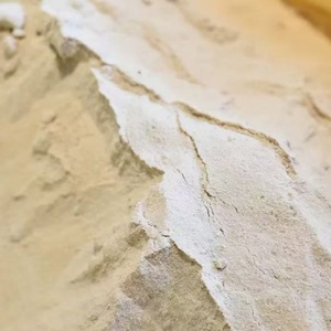 Aminoácidos en Polvo, 100% Vegetales, Bioestimulante Orgánico de Alta Concentración para una Agricultura Moderna y de Alto Rendimiento - Product Image 4