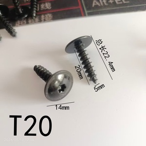 Vis autotaraudeuses Torx T20 durables avec boucle 5x20mm pour réparation de garnitures automobiles, ailes et garde-boue - Product Image 1