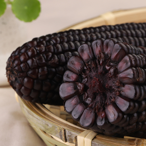 Deliziosi Snack di Mais Nero Ceroso Confezionati Sottovuoto 220g sul <span class=keywords><strong>Pannocchia</strong></span> Mais Viola - Product Image 1
