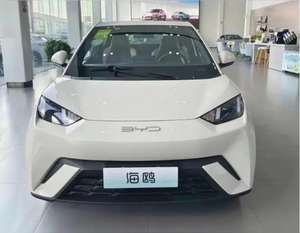 Лучший продавец, Китай, Электромобиль SEAGULL EV, хорошее качество и низкая цена - Product Image 2