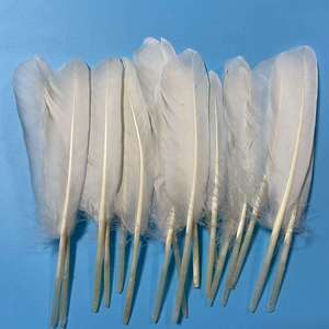 Trắng 6-8 Inch Nhuộm Mô Hình Thủ Công Lông Ngỗng & Vịt Lông Cho Thời Trang Tự Làm Tóc Clip Mặt Nạ Trang Phục Phụ Kiện - Product Image 4