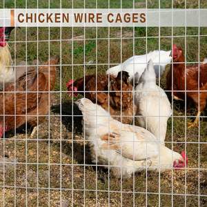 Malla de Alambre Soldada para Jaula de Conejos de 2x4 Pulgadas, Malla de Alambre Soldada Galvanizada Reforzada - Product Image 6