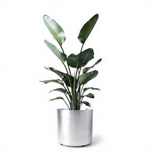 กระถางดอกไม้เหล็กมินิมอลพร้อมต้นไม้สีเขียวสำหรับตกแต่งภายในบ้าน ดีไซน์มินิมอล กระถางตั้งโต๊ะทรงกลม - Product Image 2
