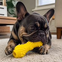 Jouet à mâcher interactif en caoutchouc couineur, durable, classique/moderne pour chien, jouet osseux pour le nettoyage dentaire, disponible