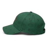 Gorra de Béisbol Moderna de Alta Calidad, Unisex, para las Cuatro Estaciones, Bordada, Ajustable, con Cierre a Presión, para Adultos