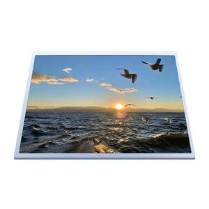 Panel de Pantalla Industrial Innolux G121XCE-L01 de 12.1 Pulgadas, Alto Brillo (600cd/m²), Legible Bajo la Luz Solar, Vista Completa - Product Image 3