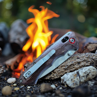 Couteau de poche pliable EDC Outdoor Survival Camping DIY Durable 5Cr15 Acier inoxydable Manche en bois Système de roulement Klappmesser OEM