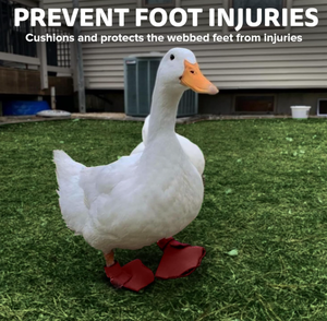 USMILEPET Duck <strong>Shoes</strong> for Injured Feet Protective Neoprene Footwear for Ducks Protective <strong>Shoes</strong> for Birds <strong>Pet</strong> <strong>Shoes</strong> - Product Image 6