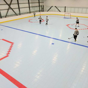 Accesorios de Hockey de las tierras secas Slick azulejos campo palos de Hockey equipo de entrenamiento Puck - Product Image 5