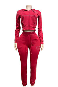 Winter Herbst Frauen Outfits Print Langarm Crop Hooded Jacket und lange Hosen Zweiteiliges Set Casual Jogger 2-teiliges Set für Frauen - Product Image 4