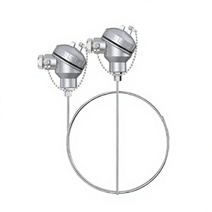 เทอร์โมคัปเปิลชนิด K <span class=keywords><strong>PT100</strong></span> RTD เซ็นเซอร์วัดอุณหภูมิ WRNK-131 หัววัดแบบโค้งงอได้ หุ้มเกราะ ทนทาน ใช้งานในอุตสาหกรรม ทำจากสแตนเลส ทนอุณหภูมิสูง - Product Image 5