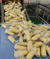 Sac d'emballage sous vide en plastique de qualité alimentaire PP/PA à haute barrière pour les fruits de riz de maïs pour l'emballage d'entreprises agricoles