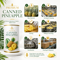 Geconserveerde ananasringen, op maat gemaakte private label ingeblikte fruit, rechtstreeks van de Chinese fabrikant.