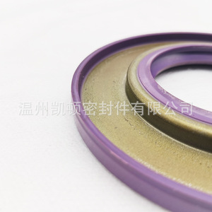 Sello de Aceite de Caucho Nitrilo Isuzu Jiangling Qingling 49x100x8/10 Morado para Cigüeñal Delantero y Trasero, Transmisión Manual - Product Image 4
