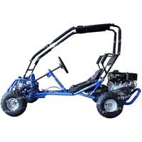 Kart à essence 420CC 15HP monoplace pour location en sites touristiques, type buggy tout-terrain avec cage de sécurité et arrêt d'urgence