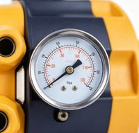 Contrôleur de pression de pompe à eau avec interrupteur automatique, manomètre intégré, protection contre la marche à sec, pompe de surpression en plastique 250V 650PSI
