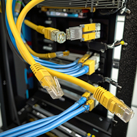 Câble réseau Ethernet RJ45 UTP Cat6 XXD/OEM Patch PVC Conducteur en cuivre massif 8 2m