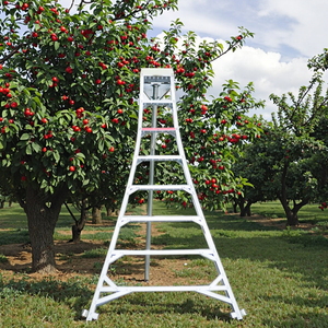Aluminum <strong>Garden</strong> Fruit Used Tripod <strong>Ladder</strong> - Product Image 1