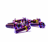 Kit de boulons à tête hexagonale en alliage de titane M8 personnalisés avec filetage UNF, finition anodisée arc-en-ciel pour motos