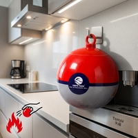Boule extinctrice automatique 0,5 kg, classe ABCEF, à poudre sèche, murale, fabrication ODM directe d'usine