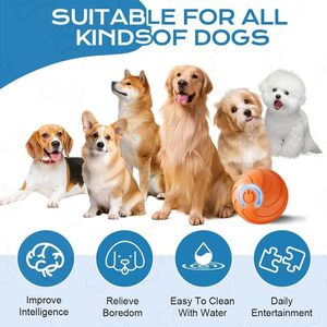Balle de jeu pour chien rebondissante avec saut aléatoire - Balle interactive résistante aux morsures pour chiot, pour l'entraînement au rapport et les jeux intérieurs/extérieurs - Product Image 4