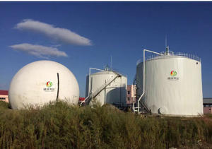 Montaggio del serbatoio di fermentazione del Biogas solare digestore del sistema <span class=keywords><strong>per</strong></span> il letame di pollo del maiale della mucca con la pompa a pressione PLC impianto <span class=keywords><strong>per</strong></span> piscine - Product Image 5