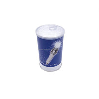 Pièces de groupe électrogène Jenbacher Nouvelle bougie d'allumage 351000 1233808 P7N1 pour moteur à gaz Jenbacher Type3 1MW