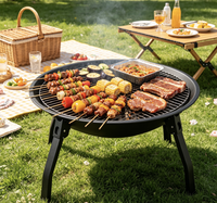 Barbecue extérieur au bois, brasero portable en acier, poêle à charbon pliable pour patio et jardin