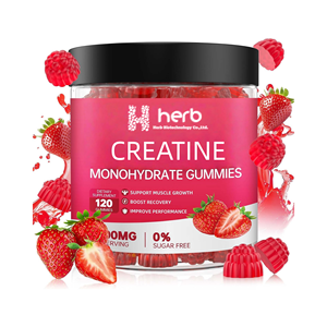 Complément alimentaire sportif en forme de bonbons gélifiés à la créatine monohydrate pour adultes, marque privée ODM/OEM, pour la gestion de l'énergie - Product Image 1