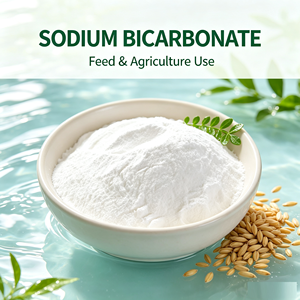 <span class=keywords><strong>Bicarbonate</strong></span> <span class=keywords><strong>de</strong></span> <span class=keywords><strong>soude</strong></span> 25 kg en poudre, qualité <span class=keywords><strong>alimentaire</strong></span>, prix par tonne <span class=keywords><strong>pour</strong></span> le nettoyage 144-55-8 - Product Image 4