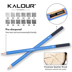 KALOUR Offerta Speciale: Set di 12 Matite in Grafite e Matite da Disegno in Scatola di Latta per Artisti Professionisti e Principianti - Product Image 3