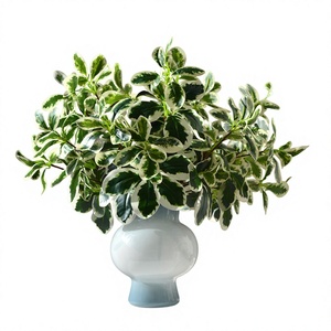 Hojas Artificiales <span class=keywords><strong>de</strong></span> Schefflera <span class=keywords><strong>de</strong></span> 7 Ramas, Flores <span class=keywords><strong>de</strong></span> Seda Decorativas, <span class=keywords><strong>Planta</strong></span> para Paisajismo, Vegetación Artificial para Uso en Interiores/Exteriores - Product Image 1