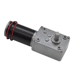 มอเตอร์เกียร์แบบหนอนแรงบิดสูง รุ่นดับเบิ้ลเชฟท์ 5840-31ZY 12v 8RPM พร้อมไมโครรีดิวเซอร์ มอเตอร์ดีซี - Product Image 6
