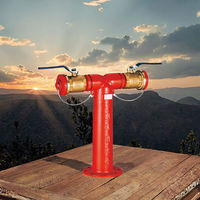 Bouche d'incendie en mousse de type pilier de qualité supérieure bouche d'incendie en mousse au sol extérieure pour système d'extinction d'incendie DN100/150