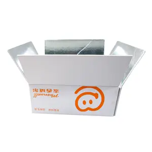 China Supplier Eco-friendly Custom Aluminum Foil Corrugated Packaging Box Frozen Food Storage Moving Insulation Shipping Carton