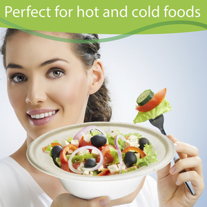 Bols à salade/nouilles/soupe biodégradables, 100% biodégradables, jetables, écologiques sans bpa - Product Image 2