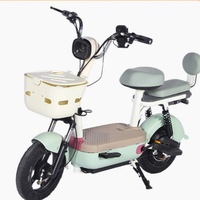 Bicicleta eléctrica, Scooter eléctrico para adultos, Motocicleta eléctrica clásica